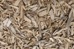biomass boilers Dundridge