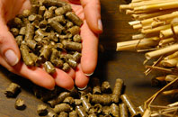 free Dundridge biomass boiler quotes