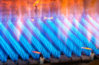 Dundridge gas fired boilers
